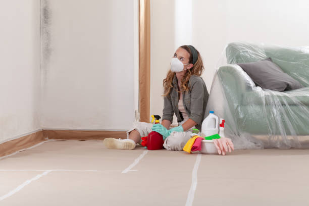 Reliable Mold Remediation contractor in Martinsville, VA by WQB Mold Removal